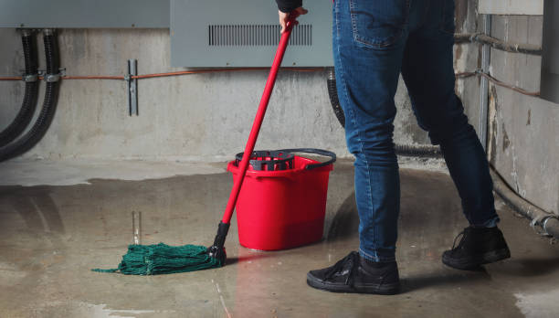 Best Commercial water damage restoration  in Mississippi State, MS