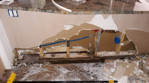 Best Sewage cleanup and water damage restoration  in Mississippi State, MS