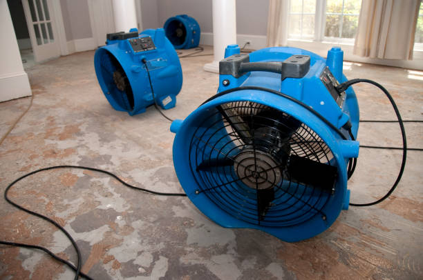 Best 24/7 water damage repair  in Mississippi State, MS
