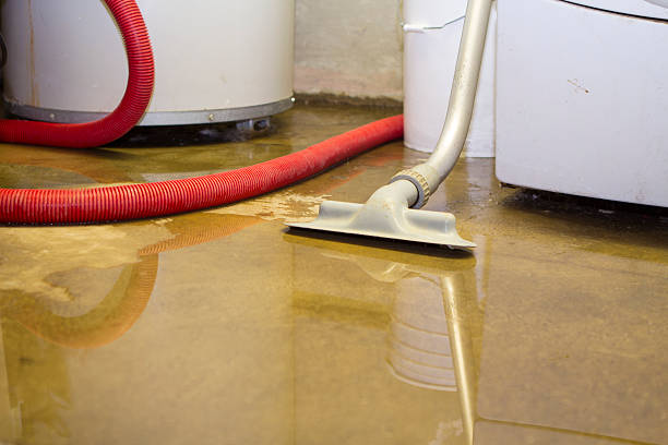 Best Flood restoration services  in Mississippi State, MS