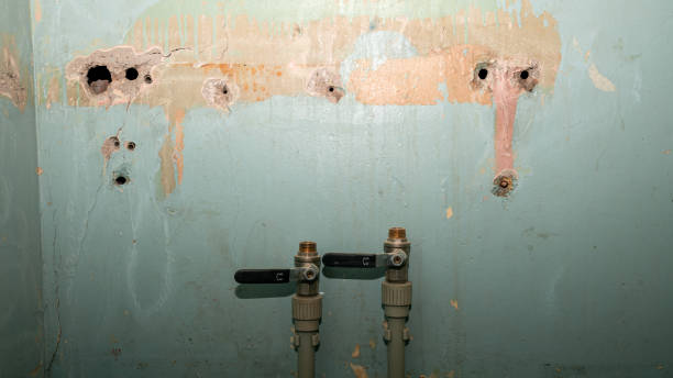 Best 24-hour water damage restoration  in Mississippi State, MS