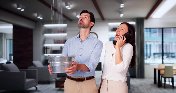 Best Carpet water damage restoration  in Mississippi State, MS