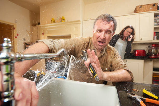 Best Mold removal after water damage  in Mississippi State, MS